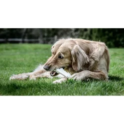 Nylabone Durachew Bone Souper Xl - Hondenspeelgoed