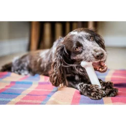 Nylabone Durachew Bone Wolf M - Hondenspeelgoed