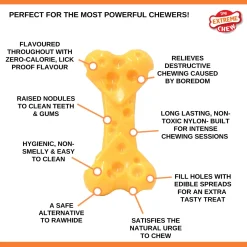 Nylabone Durachew Cheese Bone Geel - Hondenspeelgoed