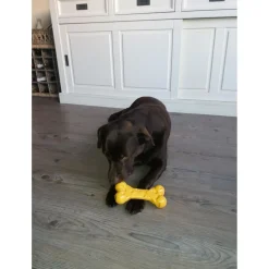 Nylabone Durachew Cheese Bone Geel - Hondenspeelgoed
