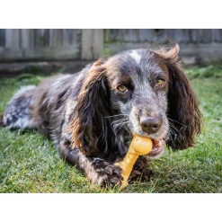 Nylabone Durachew Cheese Bone Geel - Hondenspeelgoed