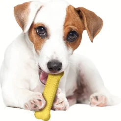 Nylabone Durachew Kit Summer - Hondenspeelgoed - Mais Barbecue Vanille 10.5x11.5x2 cm Geel Bruin Creme 3 stuks Voor Honden < 11kg S