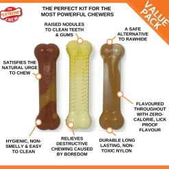 Nylabone Durachew Kit Summer - Hondenspeelgoed - Mais Barbecue Vanille 10.5x11.5x2 cm Geel Bruin Creme 3 stuks Voor Honden < 11kg S