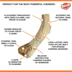 Nylabone Extreme Chew Antler - Hondenspeelgoed