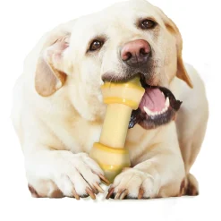 Nylabone Extreme Chew Knot Creme&Geel - Hondenspeelgoed