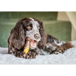 Nylabone Extreme Chew Textured Bone Beef & Cheese Kaas&Rund - Hondenspeelgoed