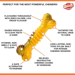 Nylabone Extreme Chew Textured Bone Beef & Cheese Kaas&Rund - Hondenspeelgoed