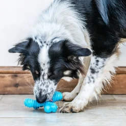 Nylabone Extreme Chew X Bone Rund - Hondenspeelgoed