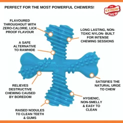 Nylabone Extreme Chew X Bone Rund - Hondenspeelgoed