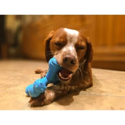 Nylabone Extreme Chew X Bone Rund - Hondenspeelgoed