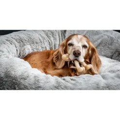 Nylabone Gourmet Wishbone Kip - Hondenspeelgoed