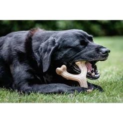 Nylabone Gourmet Wishbone Kip - Hondenspeelgoed