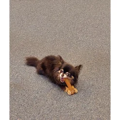 Nylabone Puppy Bone Flexible Bruin - Hondenspeelgoed