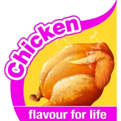 Nylabone Puppy Bone Flexible Bruin - Hondenspeelgoed