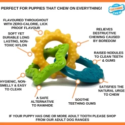 Nylabone Puppy Chew Teething Rings - Hondenspeelgoed - Bacon Groen Geel Blauw Voor Honden Tot 11kg S