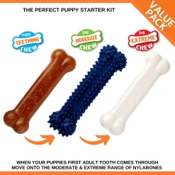 Nylabone Puppy Starter Kit Regular - Hondenspeelgoed - Kip Blauw Bruin Wit 3 stuks Voor Honden Tot 11kg S
