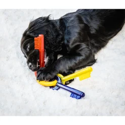 Nylabone Puppy Teething Key Flexible Geel&Blauw&Rood - Hondenspeelgoed