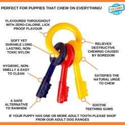 Nylabone Puppy Teething Key Flexible Geel&Blauw&Rood - Hondenspeelgoed