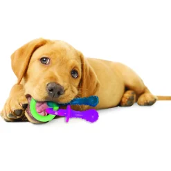 Nylabone Puppy Teething Pacifier Flexible - Hondenspeelgoed - Bacon 21.5x10x3.8 cm 108 g Roze Blauw Groen Tot 7kg Xs