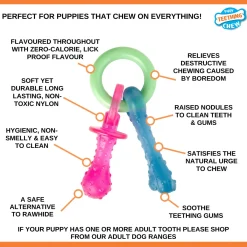 Nylabone Puppy Teething Pacifier Flexible - Hondenspeelgoed - Bacon 21.5x10x3.8 cm 108 g Roze Blauw Groen Tot 7kg Xs