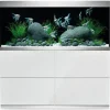 Oase Highline Optiwhite 400 Aquarium - Aquaria - 140x50x63 cm 413 l Transparant Wit 140x50x63