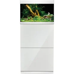 Oase Highline Optiwhite 175 Aquarium - Aquaria - 70x50x50 cm 175 l Transparant Wit