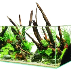 Oase Scaperline 60 Aquarium - Aquaria - 60x35x35 cm