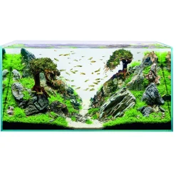 Oase Scaperline 100 Aquarium - Aquaria - 100x50x50 cm