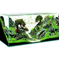 Oase Scaperline 100 Aquarium - Aquaria - 100x50x50 cm