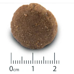 Opti Life Adult Maxi - Hondenvoer