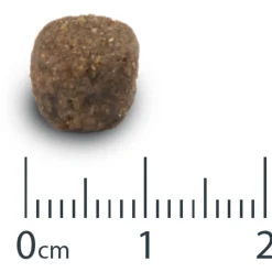 Opti Life Adult Medium - Hondenvoer