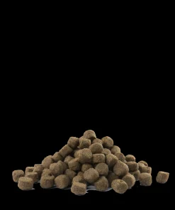 Opti Life Prime Adult All Breeds Zalm - Hondenvoer