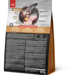 Orijen Whole Prey Cat & Kitten Kip&Kalkoen - Kattenvoer