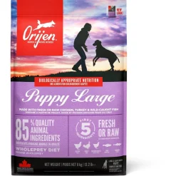 Orijen Whole Prey Puppy Large Breed Kip&Kalkoen - Hondenvoer