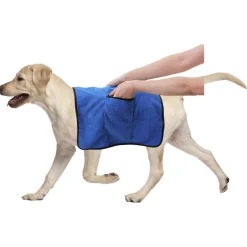 Pawise Bad Handdoek - Hondenverzorging - 70x100 cm Blauw