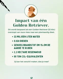 Pawr Plantaardig Green Glory - Hondenvoer - Broccoli Erwt Courgette 750 g Glutenvrij - Sojavrij