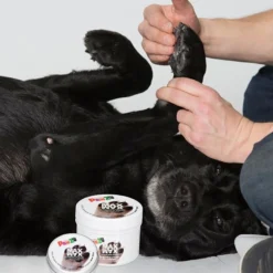 Pawz Maxwax Paw Balm - Hondenschoen
