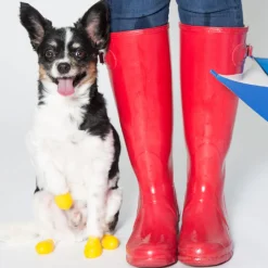 Pawz Rubber Dog Boots - Hondenschoen - Geel S