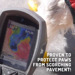 Pawz Rubber Dog Boots - Hondenschoen - Oranje Small