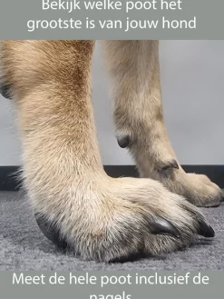 Pawz Rubber Dog Boots - Hondenschoen - Oranje Small