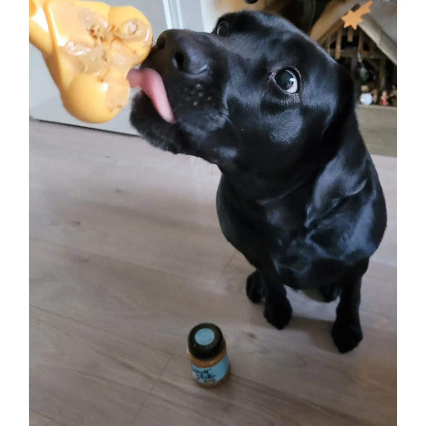 Peamutt Pindakaas Voor Honden - Hondensnacks - Pindakaas 340 g