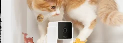 Petcube Pet Camera 1080p Hd Video Night Vision - IP Camera's - Wit