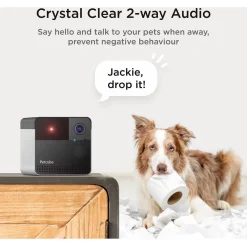 Petcube Petcube Play 2 Wifi Huisdiercamera - Interactief -