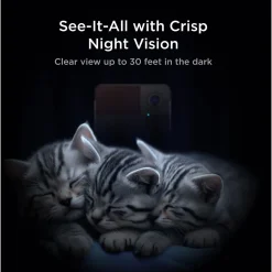 Petcube Petcube Play 2 Wifi Huisdiercamera - Interactief -