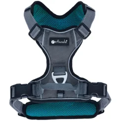 Petlando Hondenharnas Outdoor Grijs&Petrol - Hondentuig