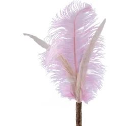 Petlando Vervanging Struisvogelveren 2-Pak - Hengel - 18.3x12.1x3.5 cm