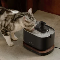 Petlibro Dockstream Smart Waterfontein - Waterfontein - Zwart