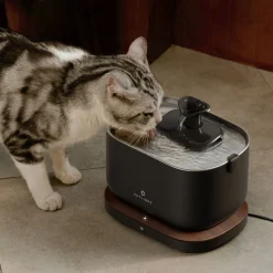 Petlibro Dockstream Smart Waterfontein - Waterfontein - Zwart