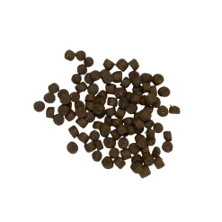 Pets Place Kitten - Kattenvoer - Kalkoen Rijst 400 g