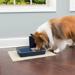 Petsafe Digitale Dubbele Voerbak - Hondenvoerbak - 30.1x22.5x6.5 cm Blauw Grijs